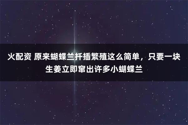 火配资 原来蝴蝶兰扦插繁殖这么简单，只要一块生姜立即窜出许多小蝴蝶兰