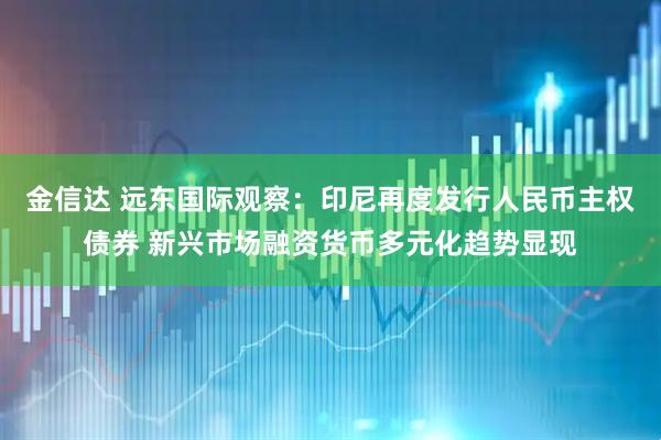 金信达 远东国际观察：印尼再度发行人民币主权债券 新兴市场融资货币多元化趋势显现