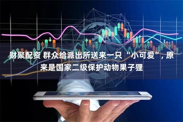 财聚配资 群众给派出所送来一只 “小可爱”, 原来是国家二级保护动物果子狸